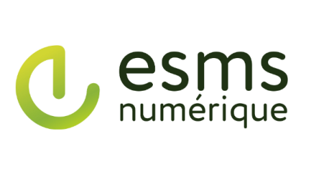 ESMS numérique