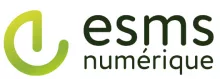 Logo ESMS numérique