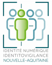 Logo INS